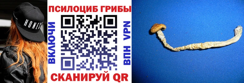 Псилоцибиновые грибы мухоморы закладка Татарск